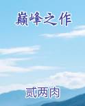 巅峰之作小说