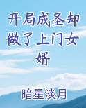 开局成圣却做了上门女婿