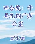 四合院：开局轧钢厂办公室完结小说
