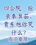 四合院：抢亲秦淮茹，贾东旭你哭什么？全文阅读