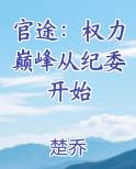 官途：权力巅峰从纪委开始