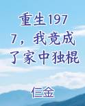 重生1977，我竟成了家中独棍小说推荐