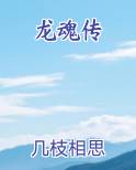 龙魂传