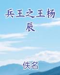 兵王之王杨辰