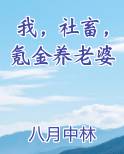 我，社畜，氪金养老婆小说推荐