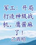 军工：开局打造神级战机，鹰酱麻了！