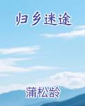 迷途归返诗歌